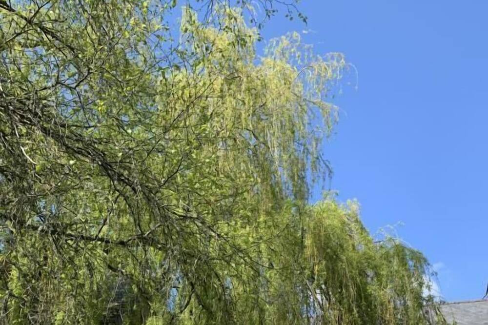 Photo of Outdoor in Plounerin