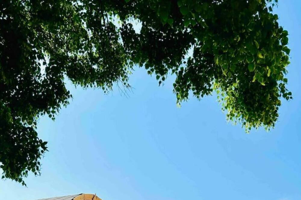 Photo of Outdoor in Saint-Eulien