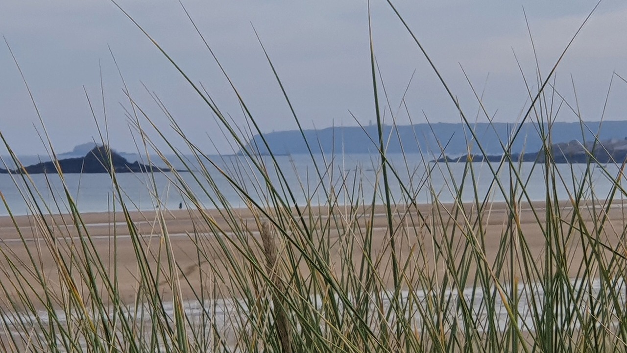 Photo of Others in La Bouillie
