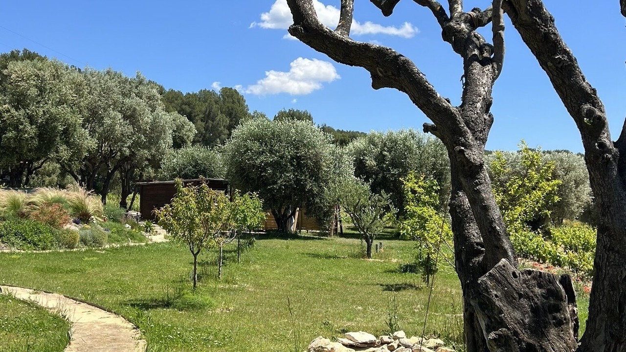 Photo of Outdoor in Le Castellet