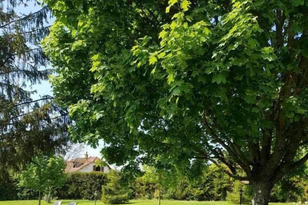Photo of Outdoor in Couvignon
