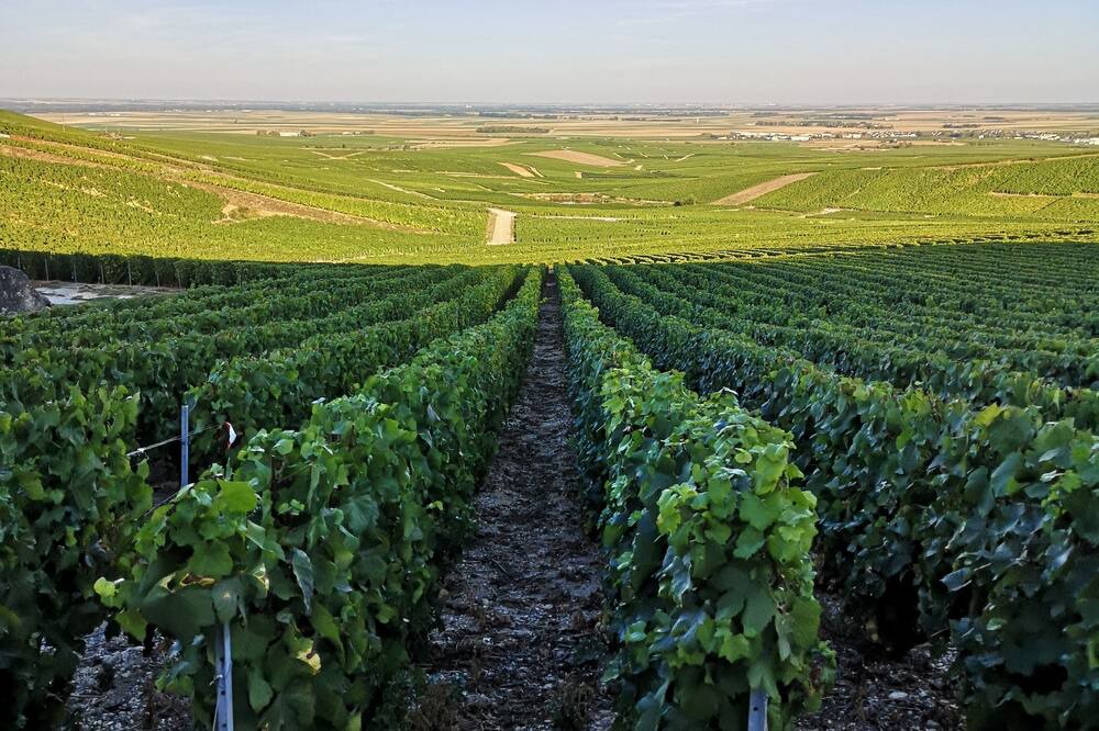 Photo of Outdoor in Flavigny