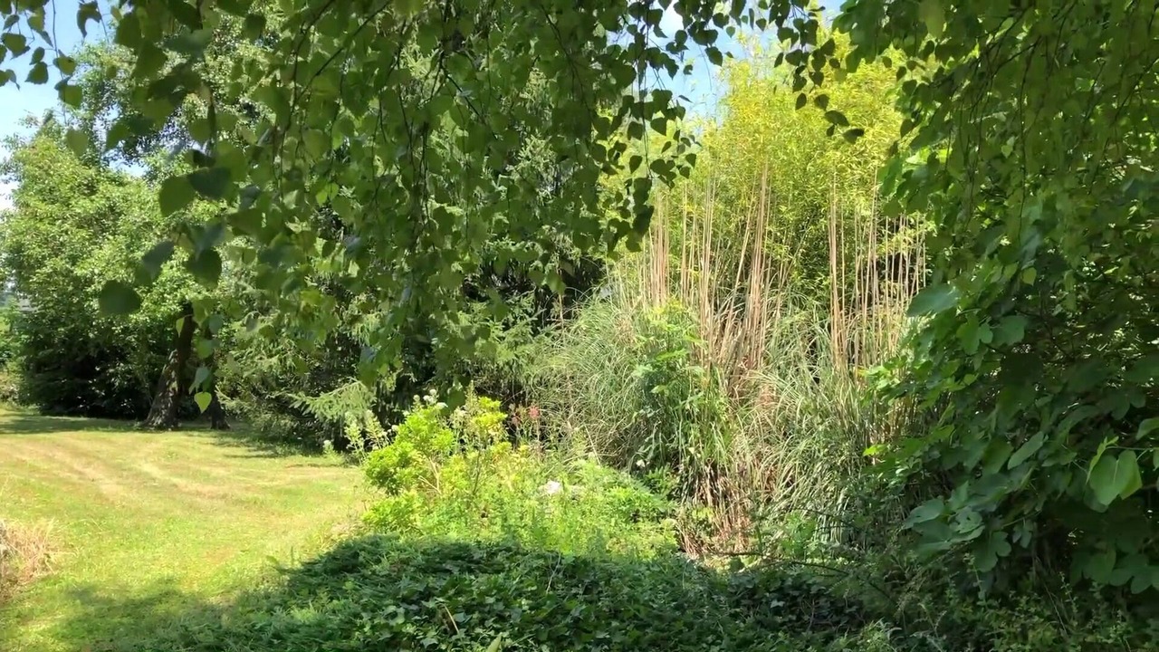 Photo of Outdoor in Mazouau
