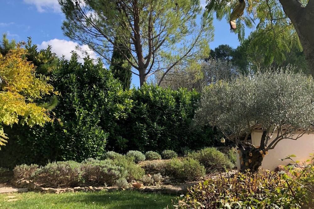Photo of Outdoor in Brignoles