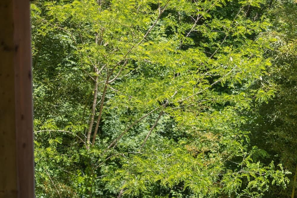 Photo of Outdoor in Saubion