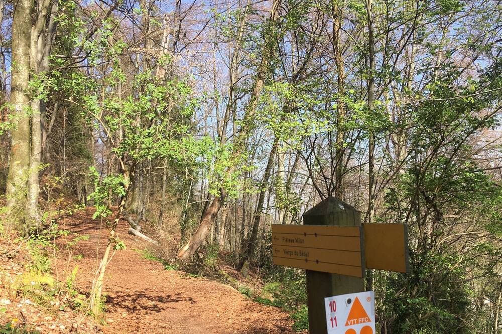 Photo of Outdoor in Bagneres-de-Bigorre