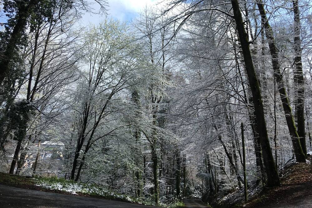 Photo of Others in Bagneres-de-Bigorre