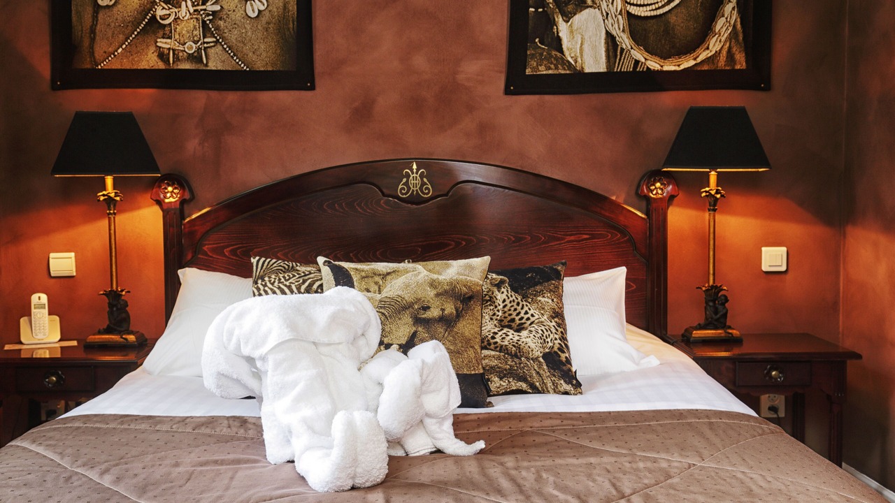 Photo of Bedroom in Nancy City Centre