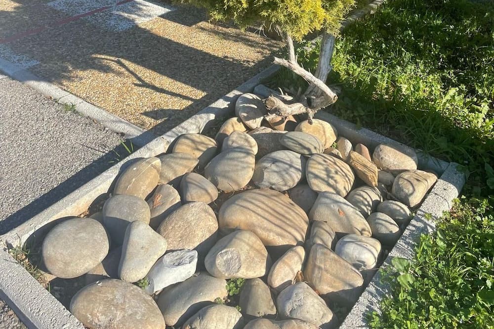 Photo of Outdoor in Brignoles