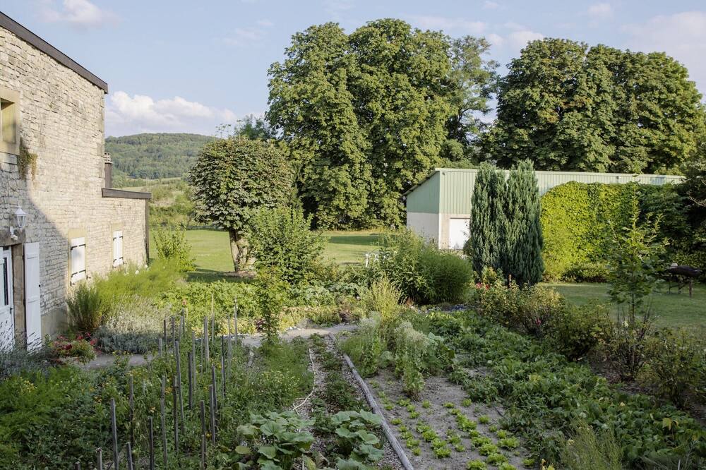 Photo of Outdoor in Remoncourt