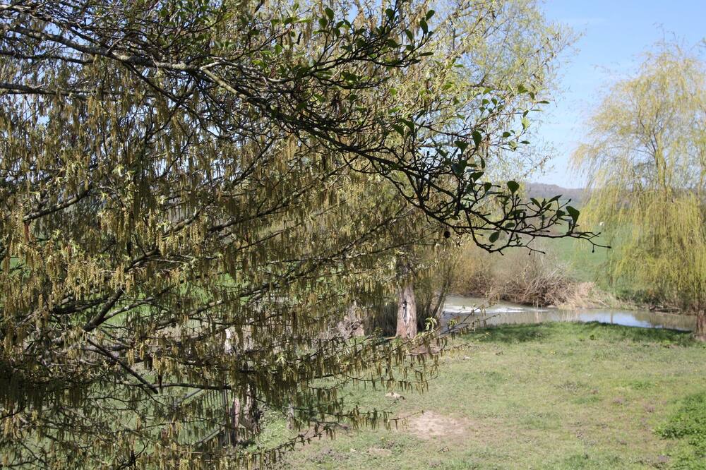 Photo of Outdoor in Vrecourt