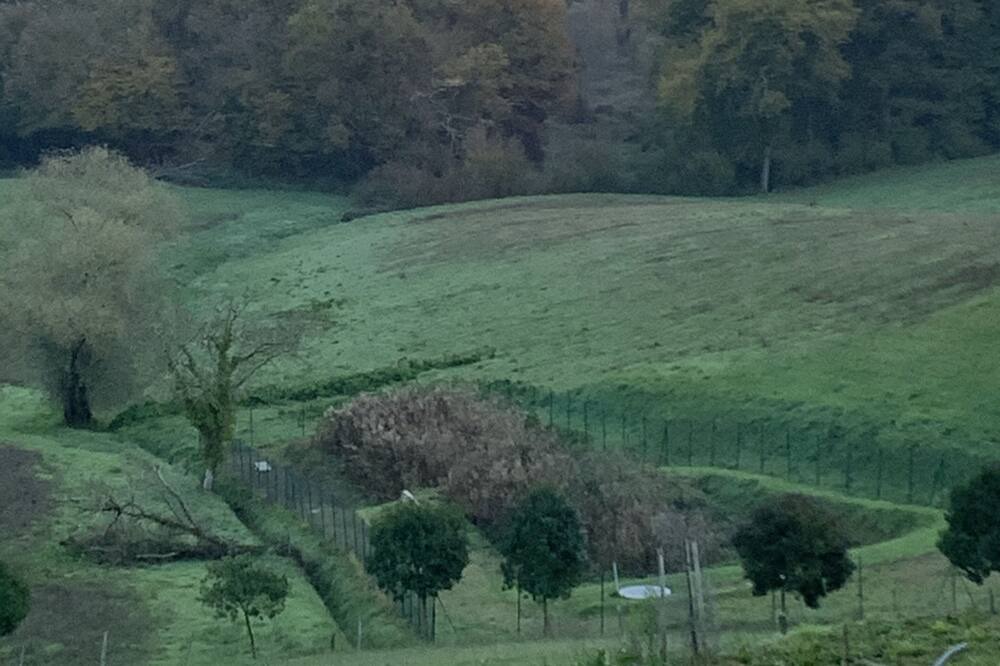 Photo of Others in Castillon-Debats