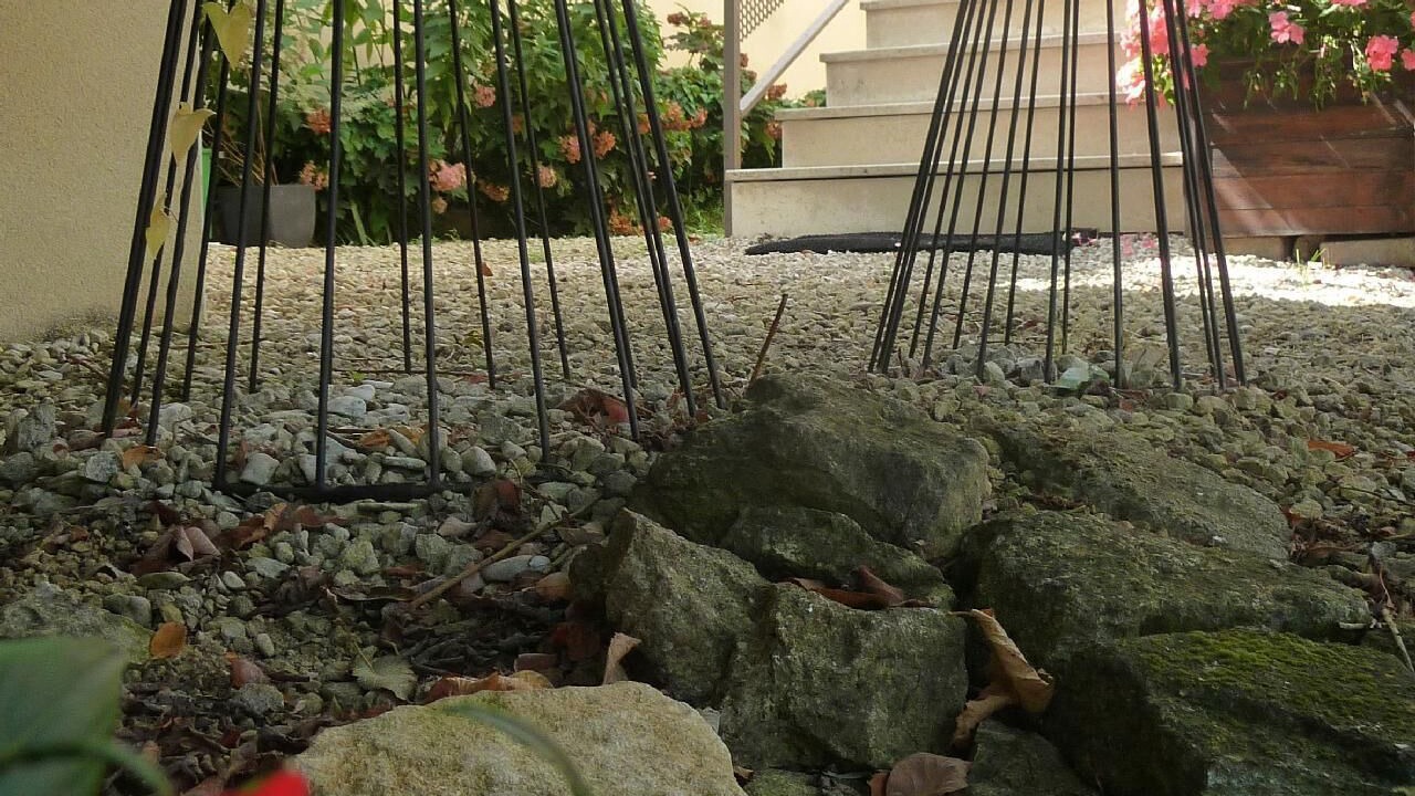 Photo of Outdoor in Villers-en-Haye