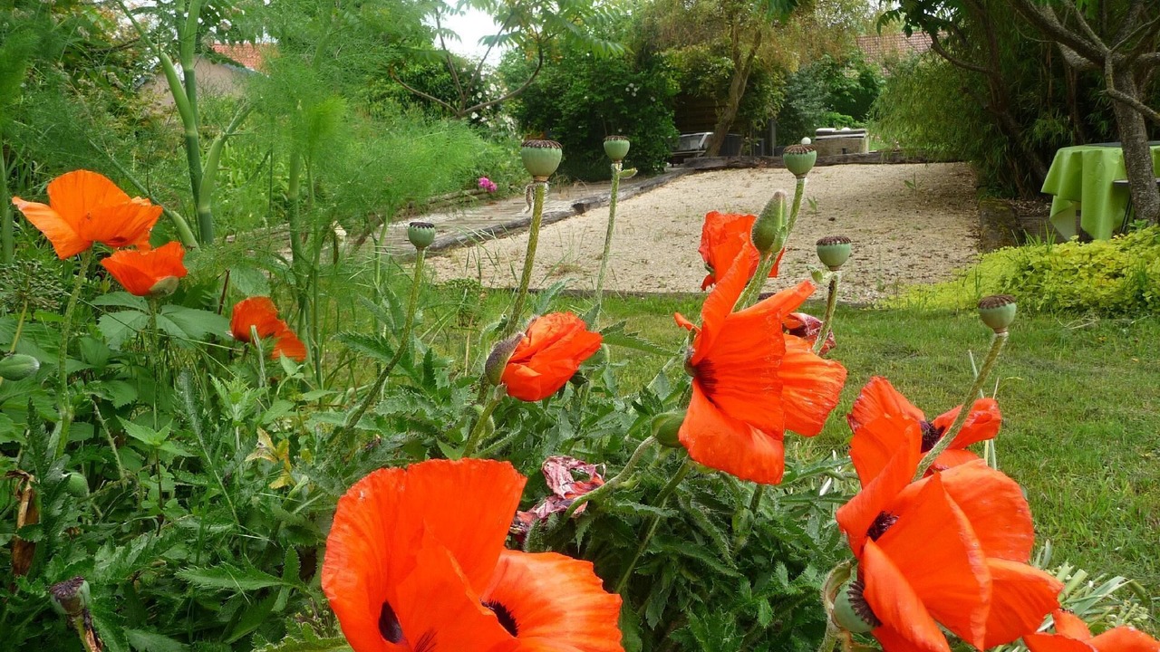 Photo of Outdoor in Villers-en-Haye