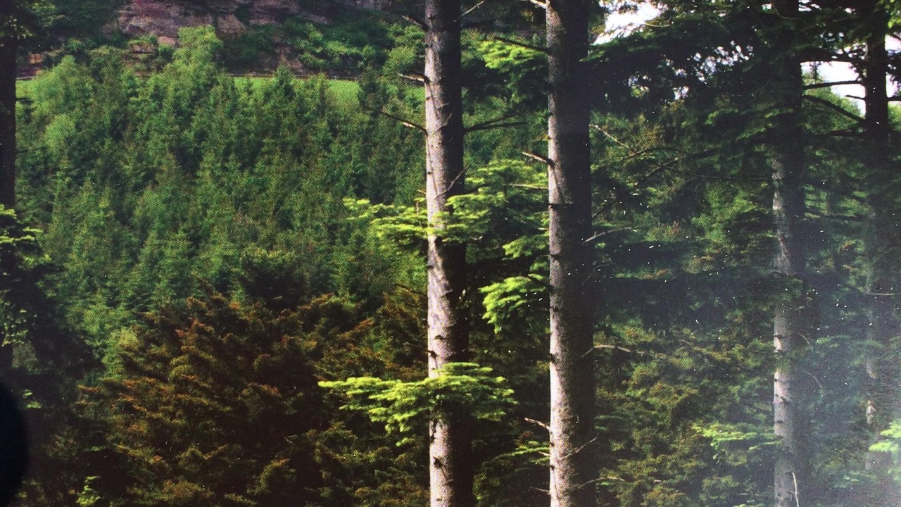 Photo of Outdoor in Dabo
