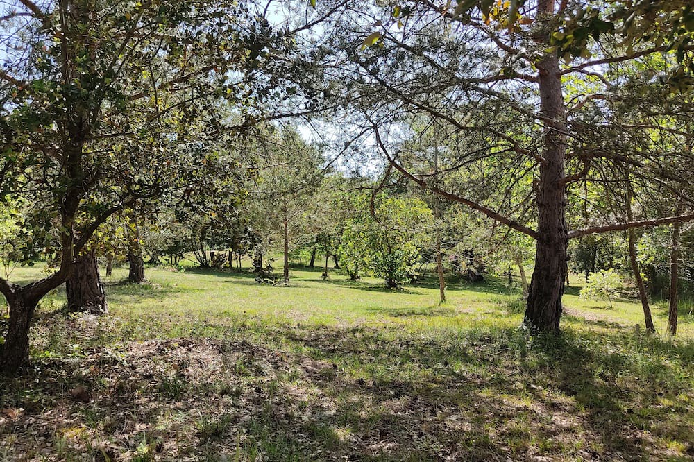 Photo of Outdoor in La Celle