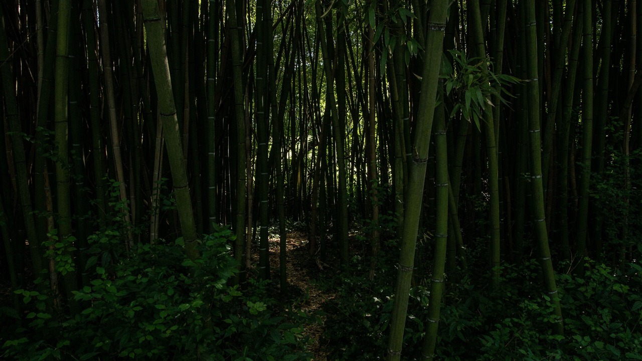 Photo of Outdoor in Saumane-de-Vaucluse
