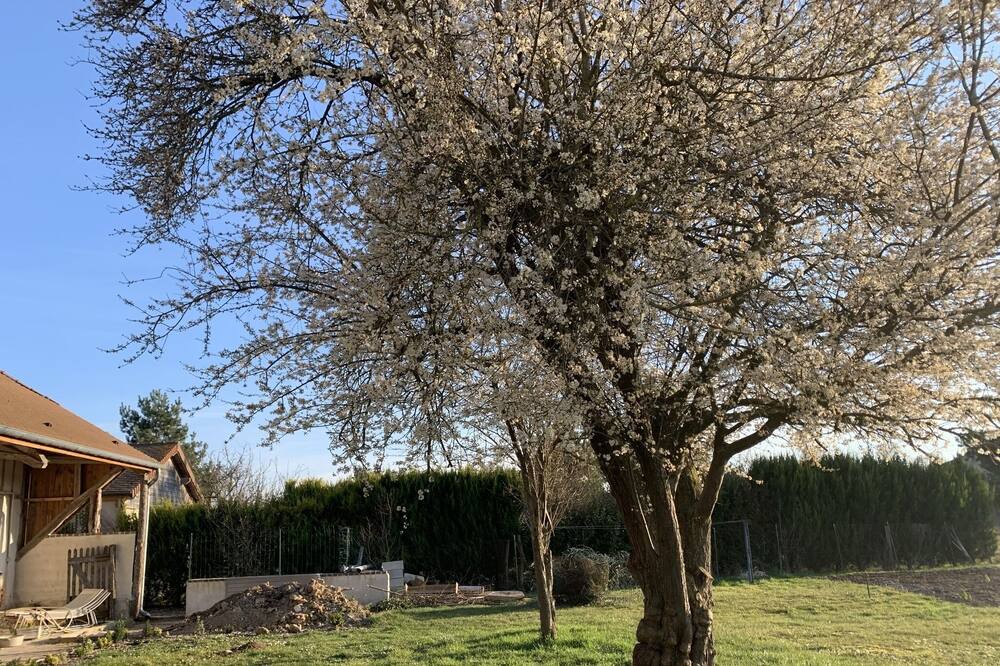 Photo of Outdoor in Bucheres