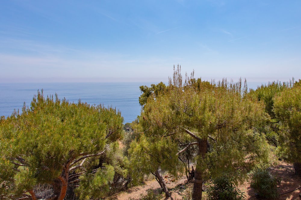 Photo of Outdoor in Cap d'Ail