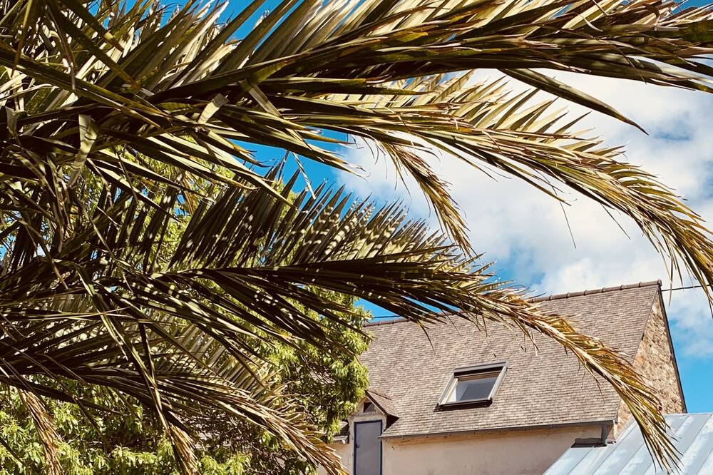 Photo of Outdoor in Lannion