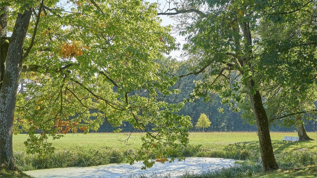 Photo of Outdoor in Azoudange