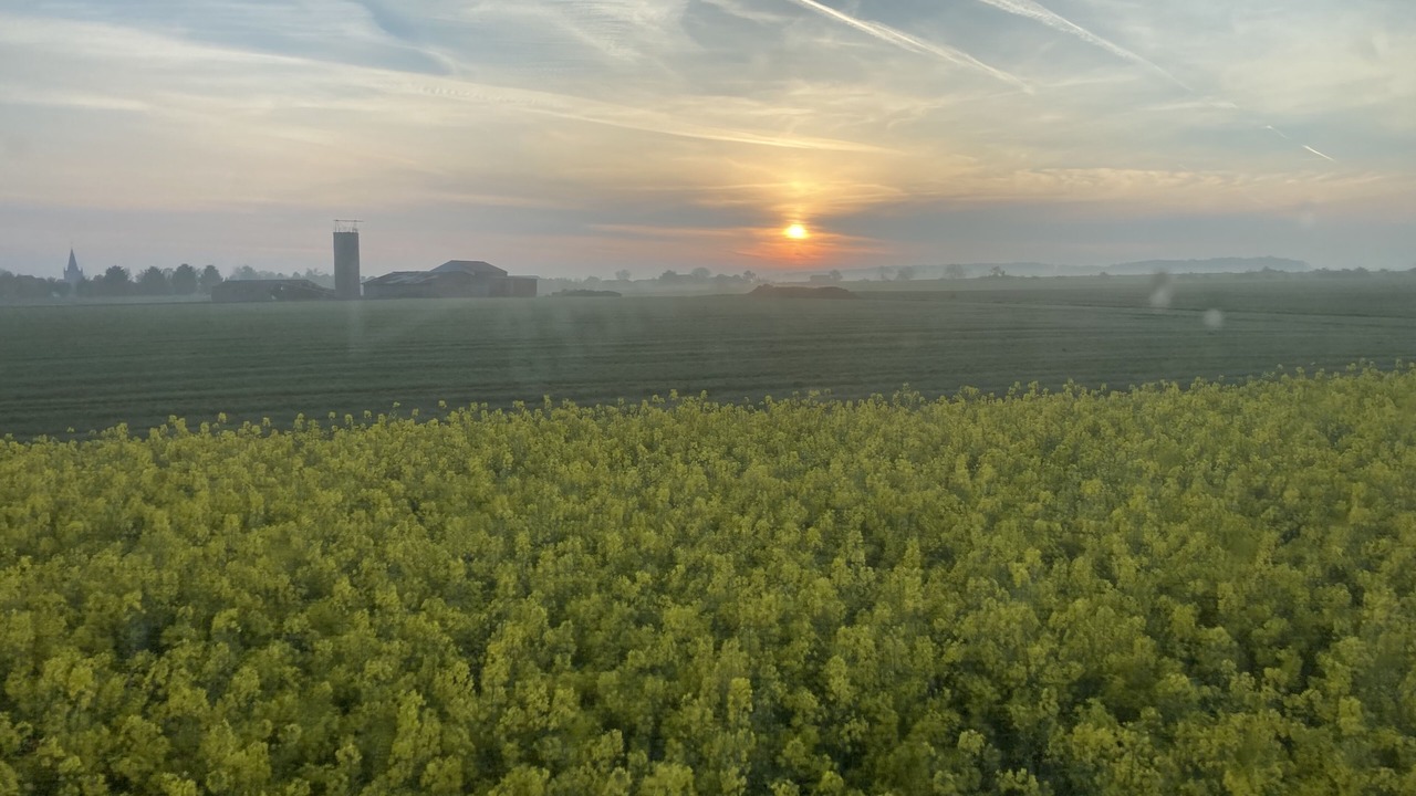 Photo of Outdoor in Doulevant-le-Chateau