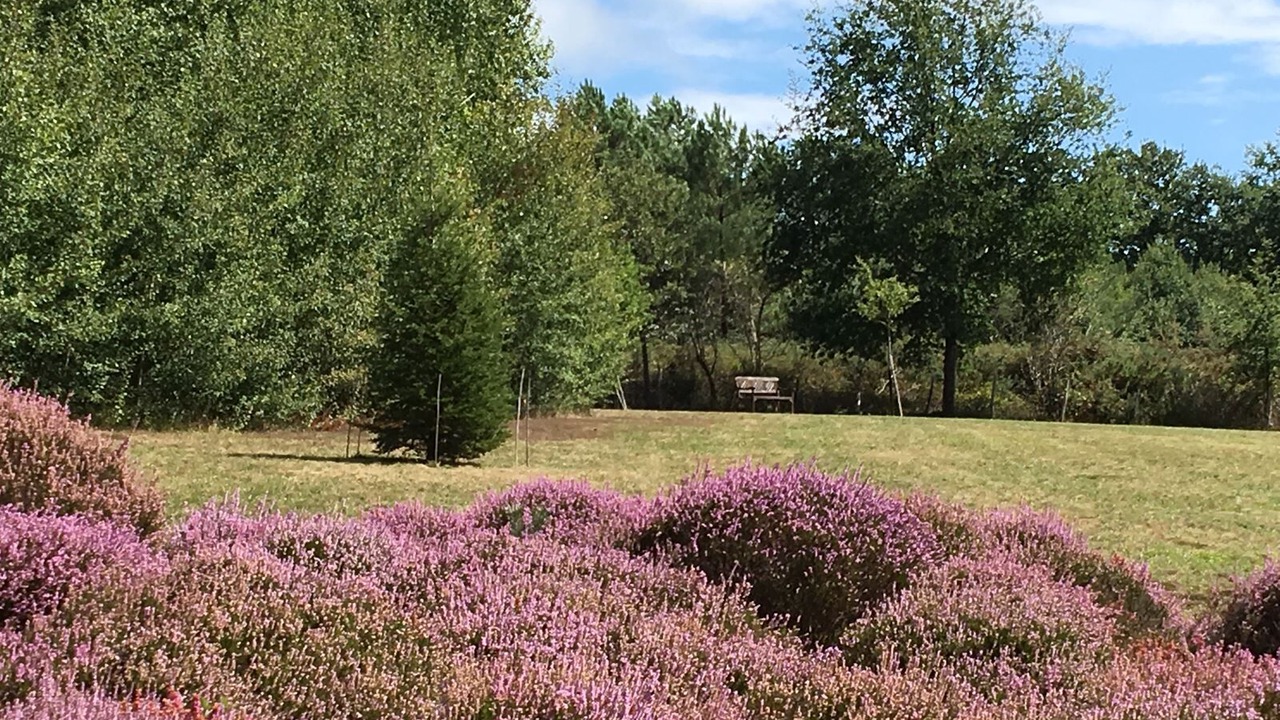Photo of Outdoor in Blis-et-Born