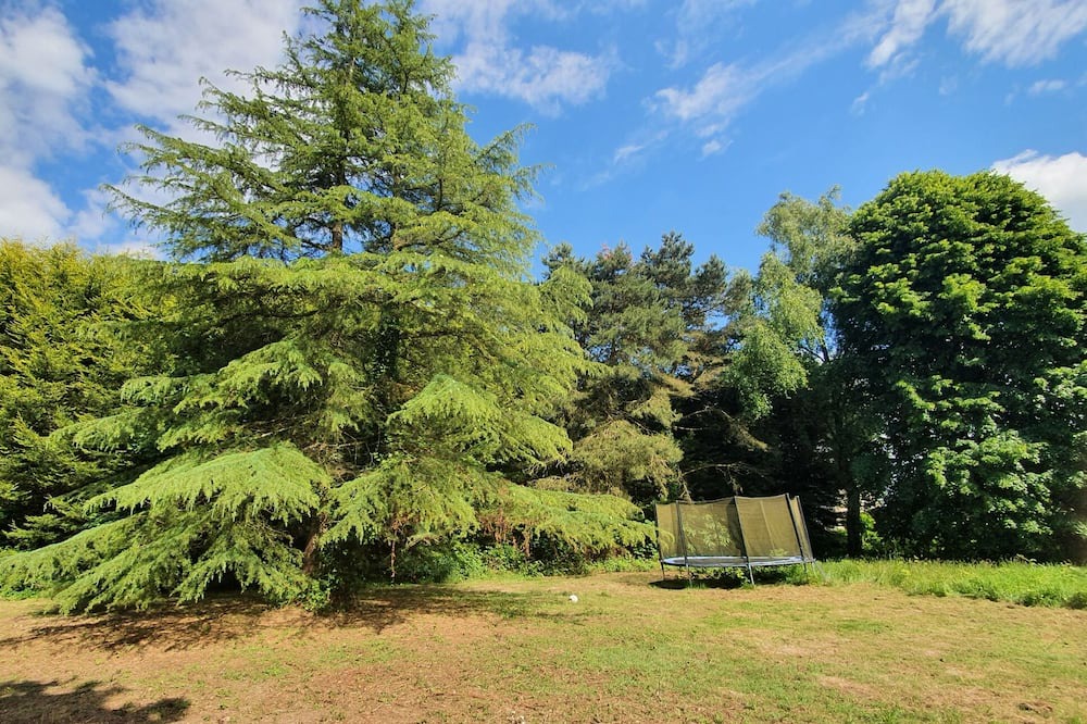 Photo of Outdoor in Saint-Donan