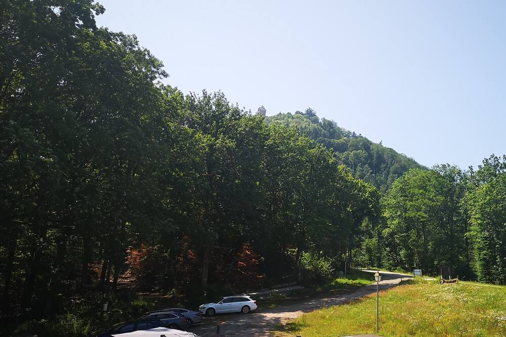 Photo of Outdoor in Kintzheim