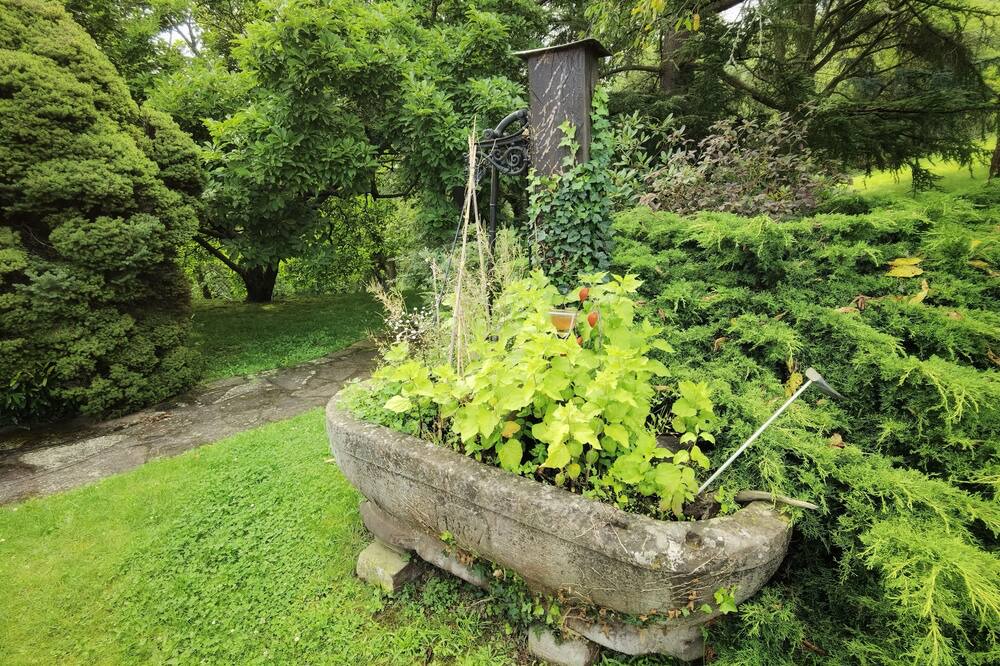 Photo of Outdoor in Andlau