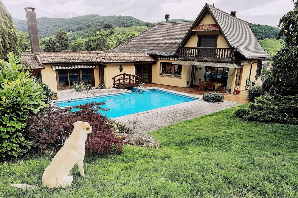 Photo of Outdoor in Andlau