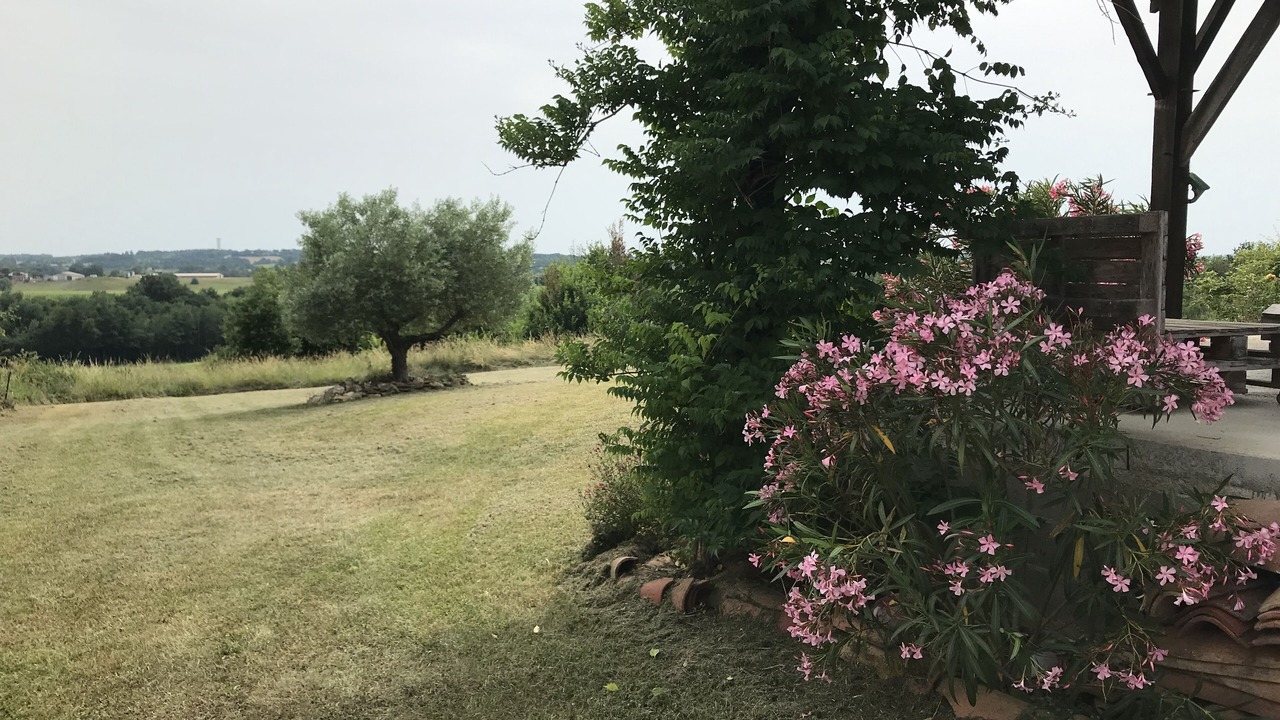 Photo of Outdoor in Eauze