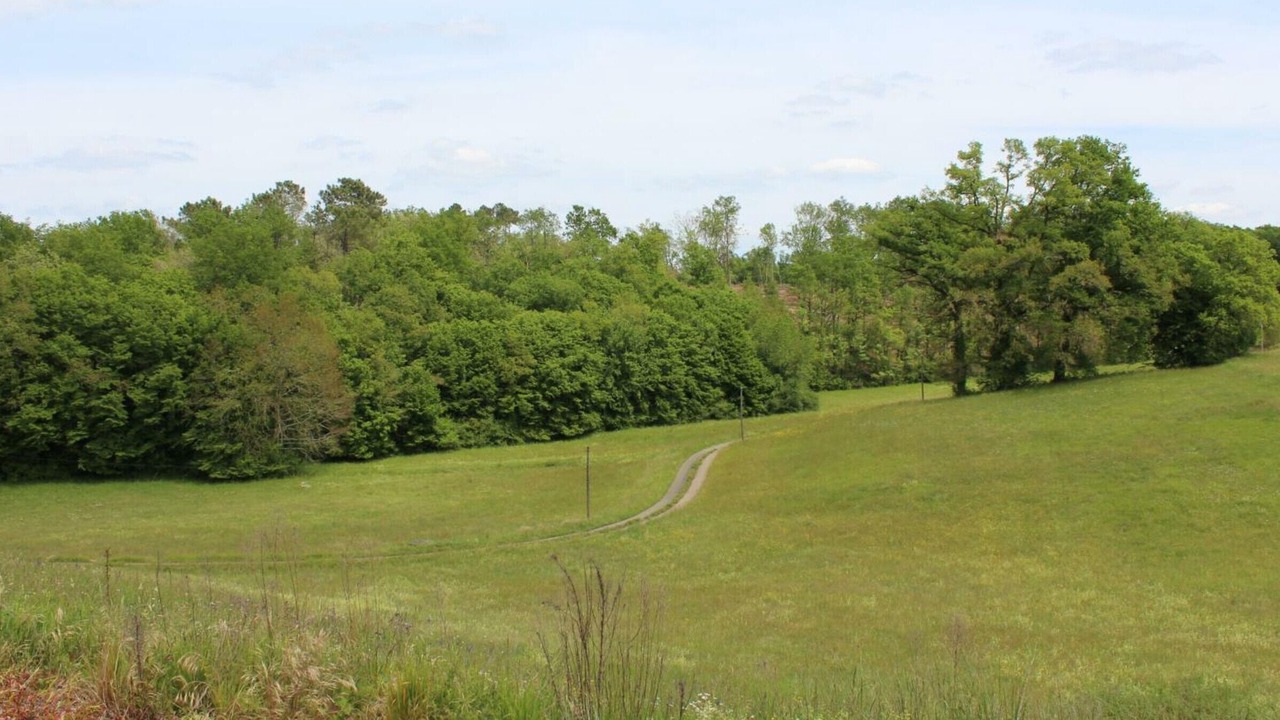 Photo of Others in Rouffignac-Saint-Cernin-de-Reilhac