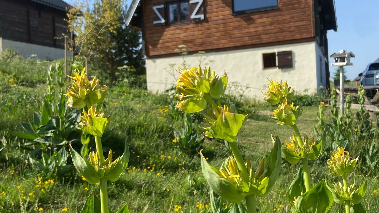 Photo of Outdoor in Camurac