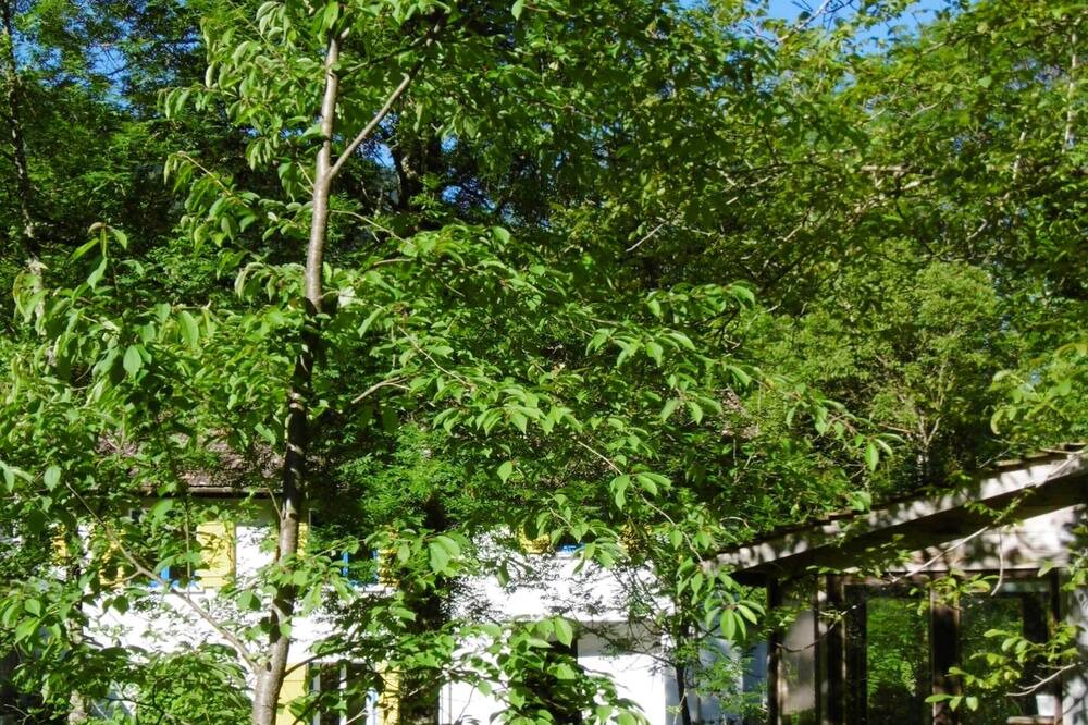 Photo of Outdoor in Fougax-et-Barrineuf