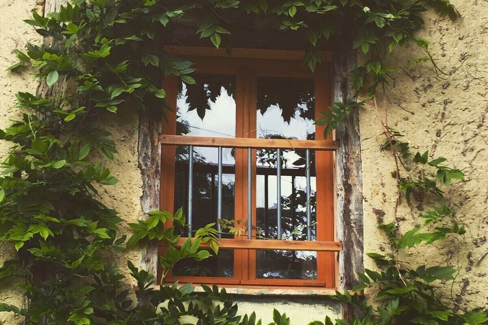 Photo of Outdoor in Termes-d'Armagnac