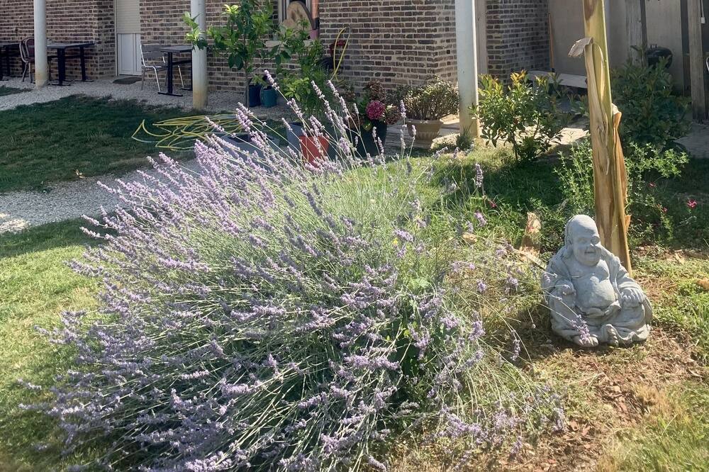 Photo of Outdoor in Villemoiron-en-Othe