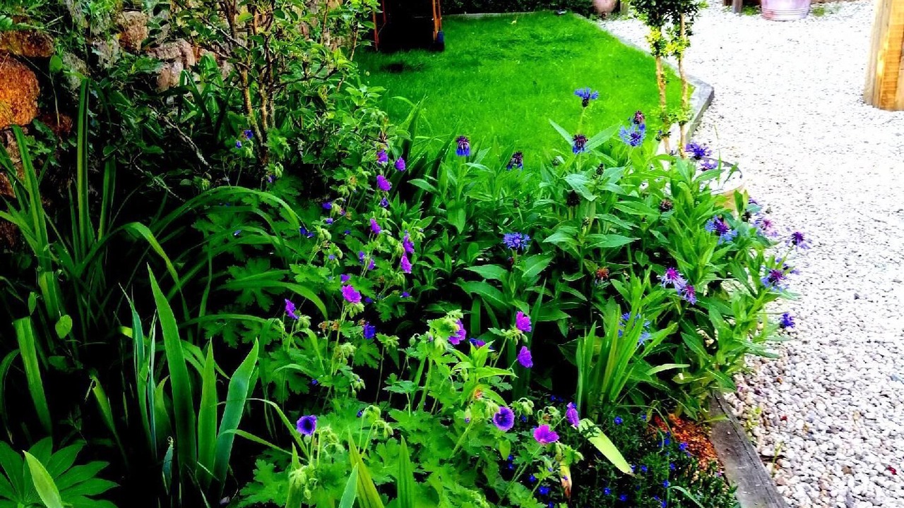 Photo of Outdoor in Gommenec'h