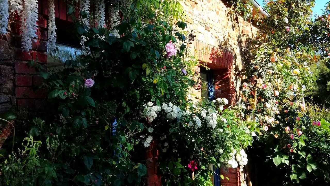 Photo of Outdoor in Gommenec'h