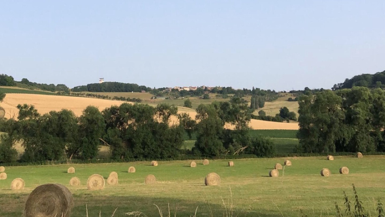 Photo of Others in Bouxieres-aux-Chenes