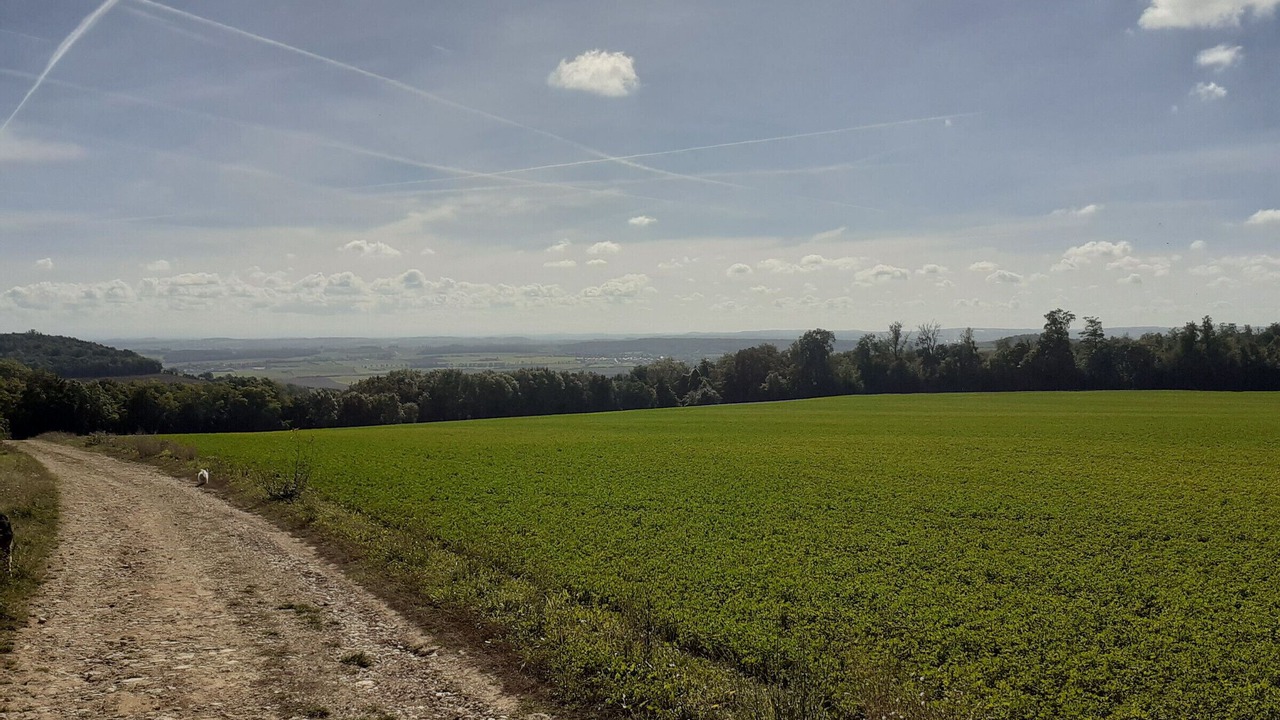 Photo of Others in Bouxieres-aux-Chenes
