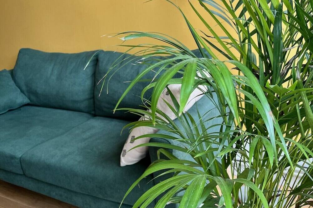 Photo of Others in Patrotte Metz-Nord