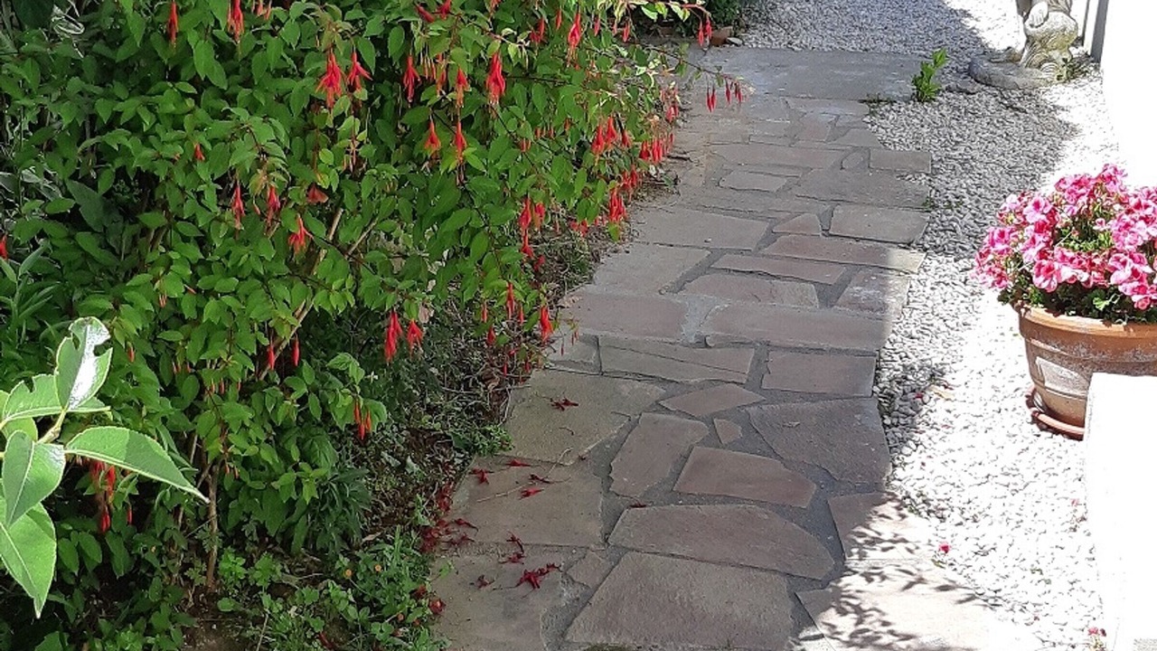 Photo of Outdoor in La Rogere
