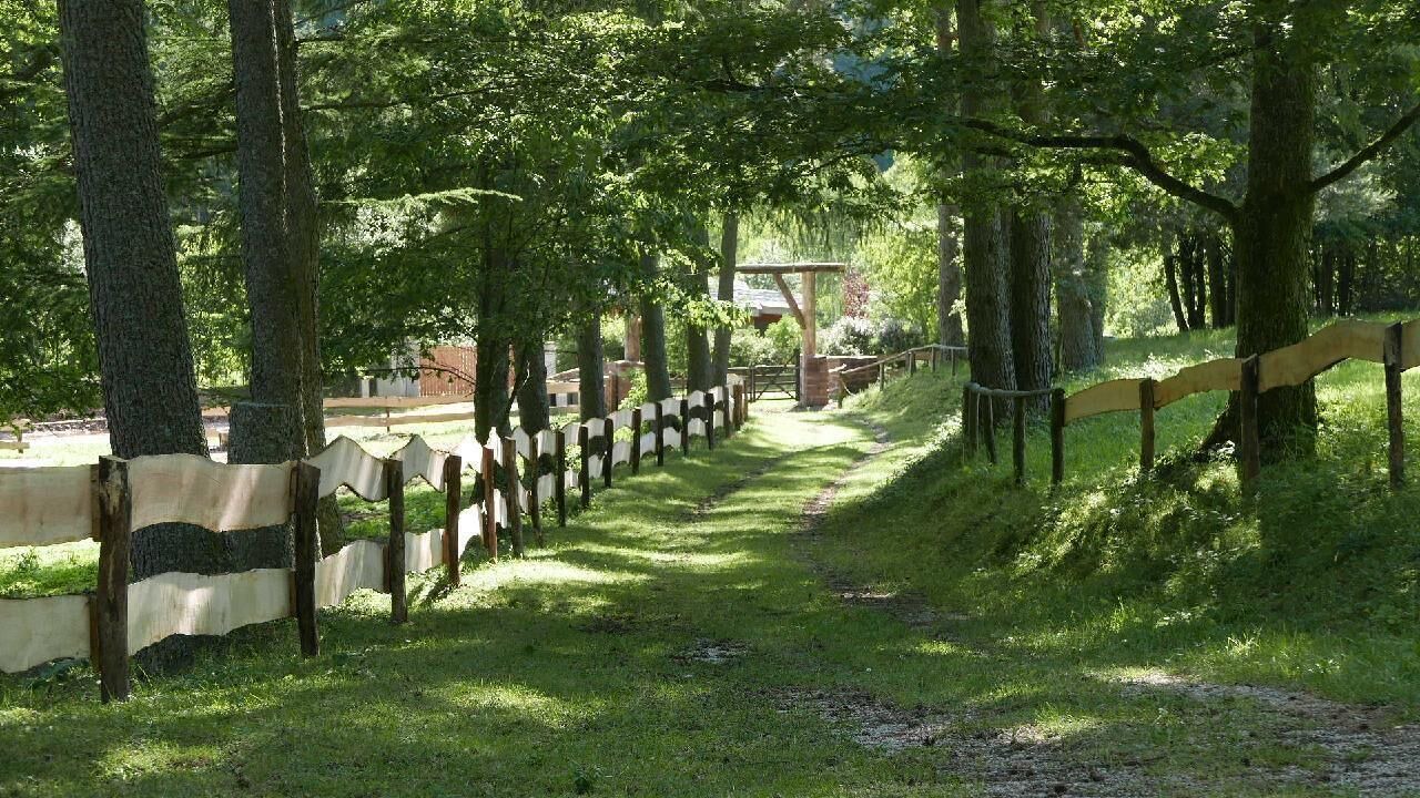 Photo of Outdoor in Walscheid