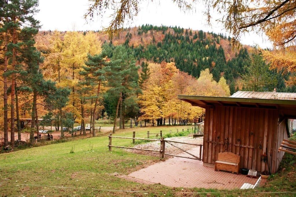 Photo of Outdoor in Walscheid