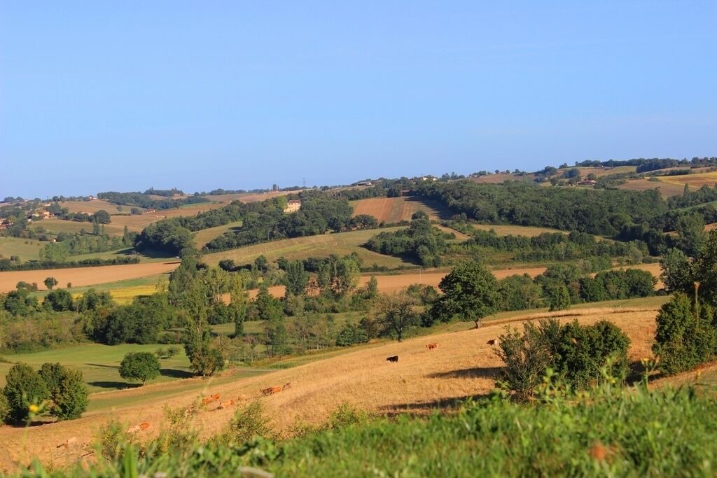 Photo of Outdoor in Benque