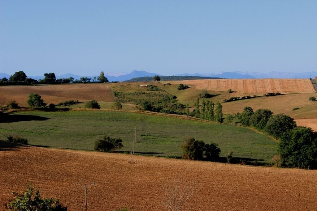 Photo of Outdoor in Benque