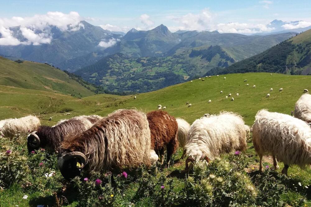 Photo of Others in Estaing