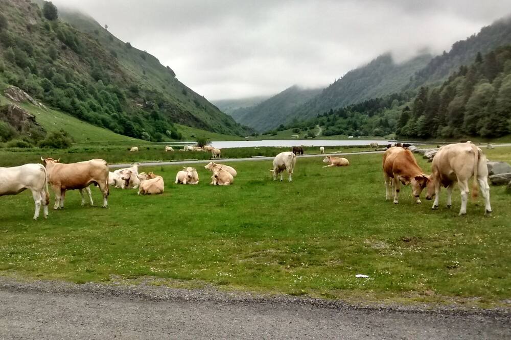Photo of Others in Estaing