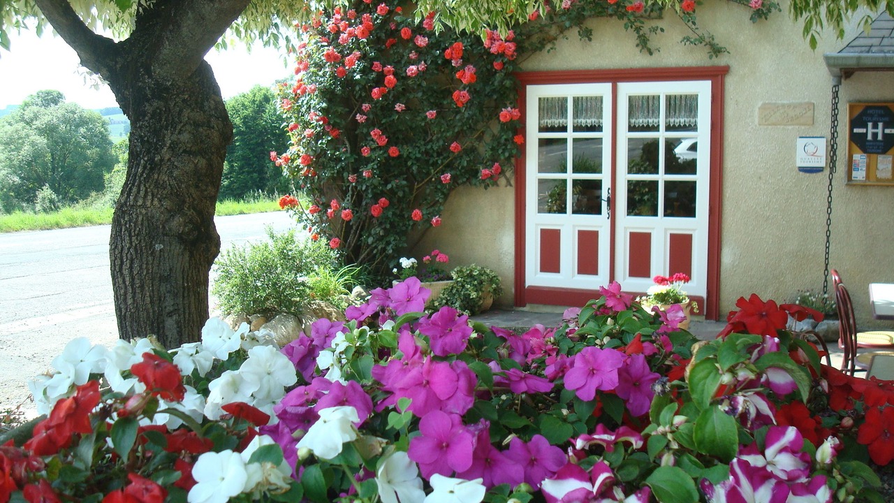 Photo of Outdoor in Ozon